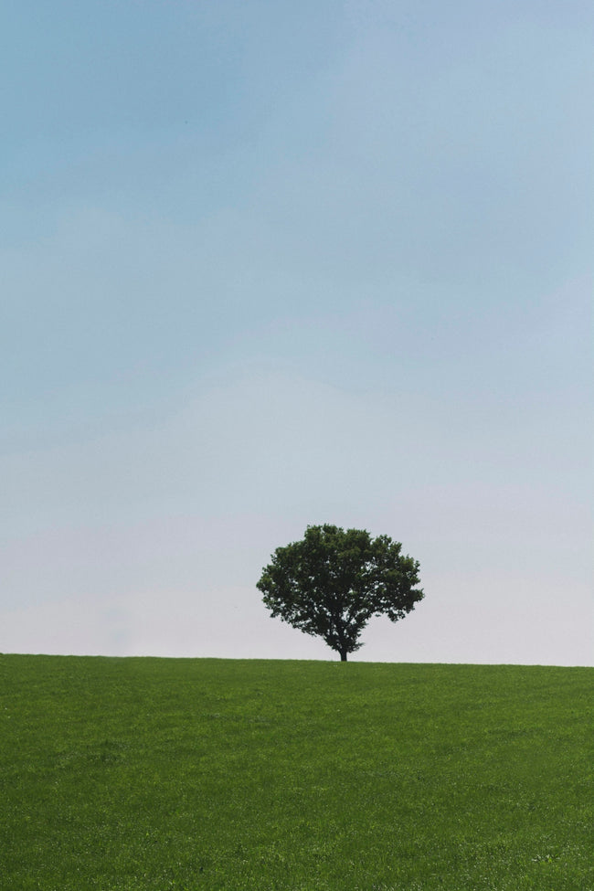 The Nuances of TikTok Engagement and Services for Your Growth