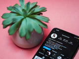 Focus on Spotify followers: Simply growing your fanbase