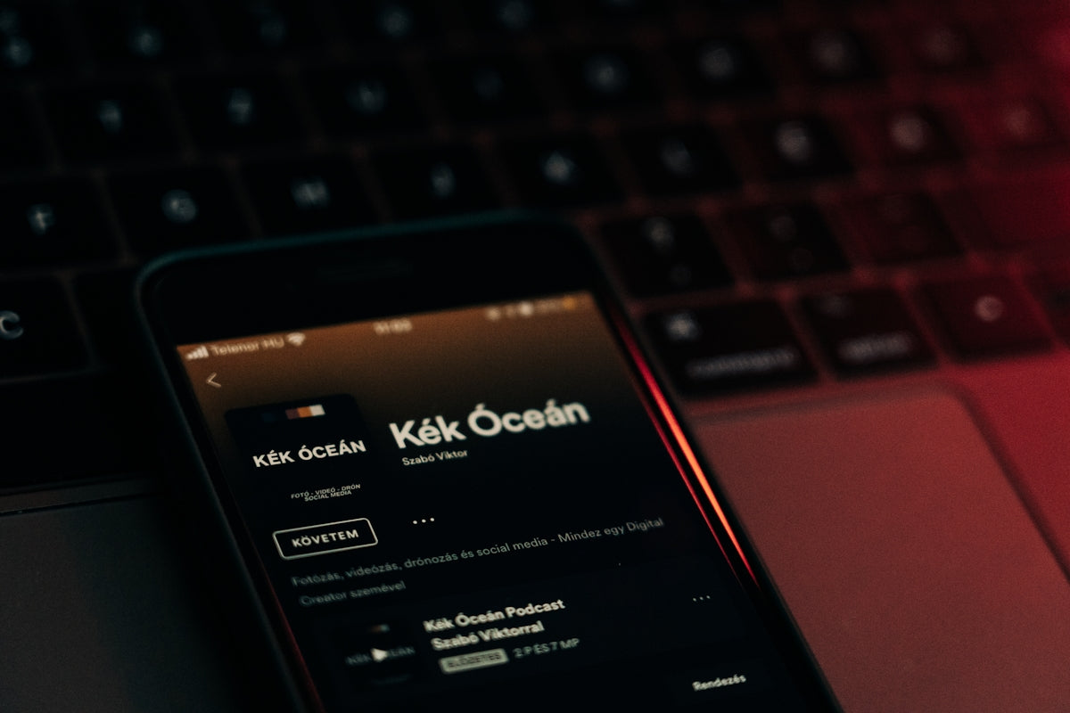 Come ottenere entrate stabili con savers e seguaci aumentati su Spotify