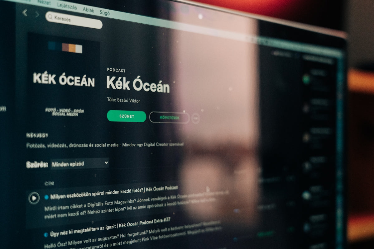 Timmerosteecn sadie Kling questa necessari frazione singoli Spotify