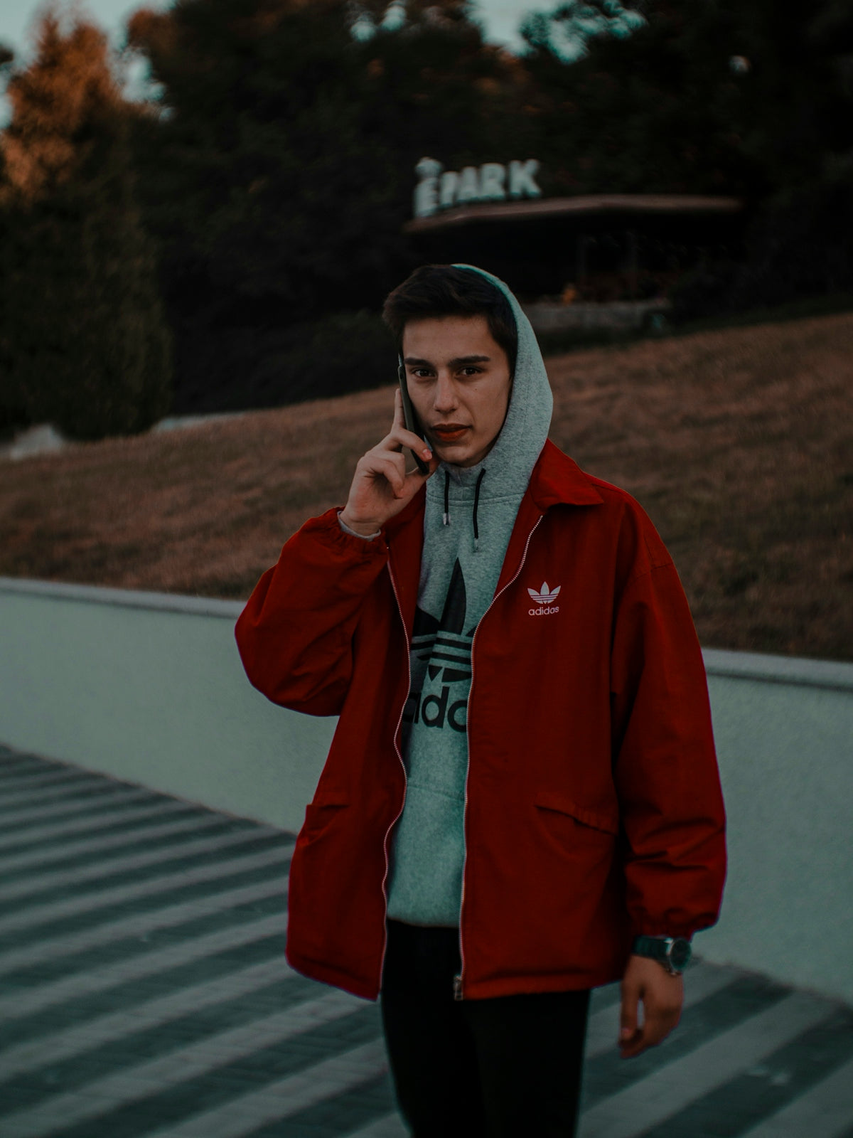 Che tipo di Servizi TikTok Scegliere per Marketer e Creator?