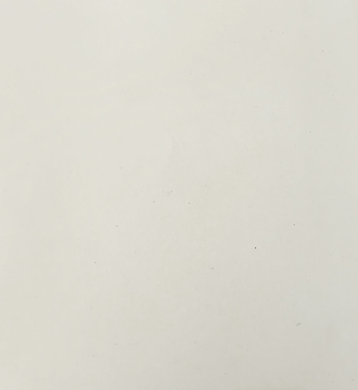 a black and white photo of a vase with flowers in it