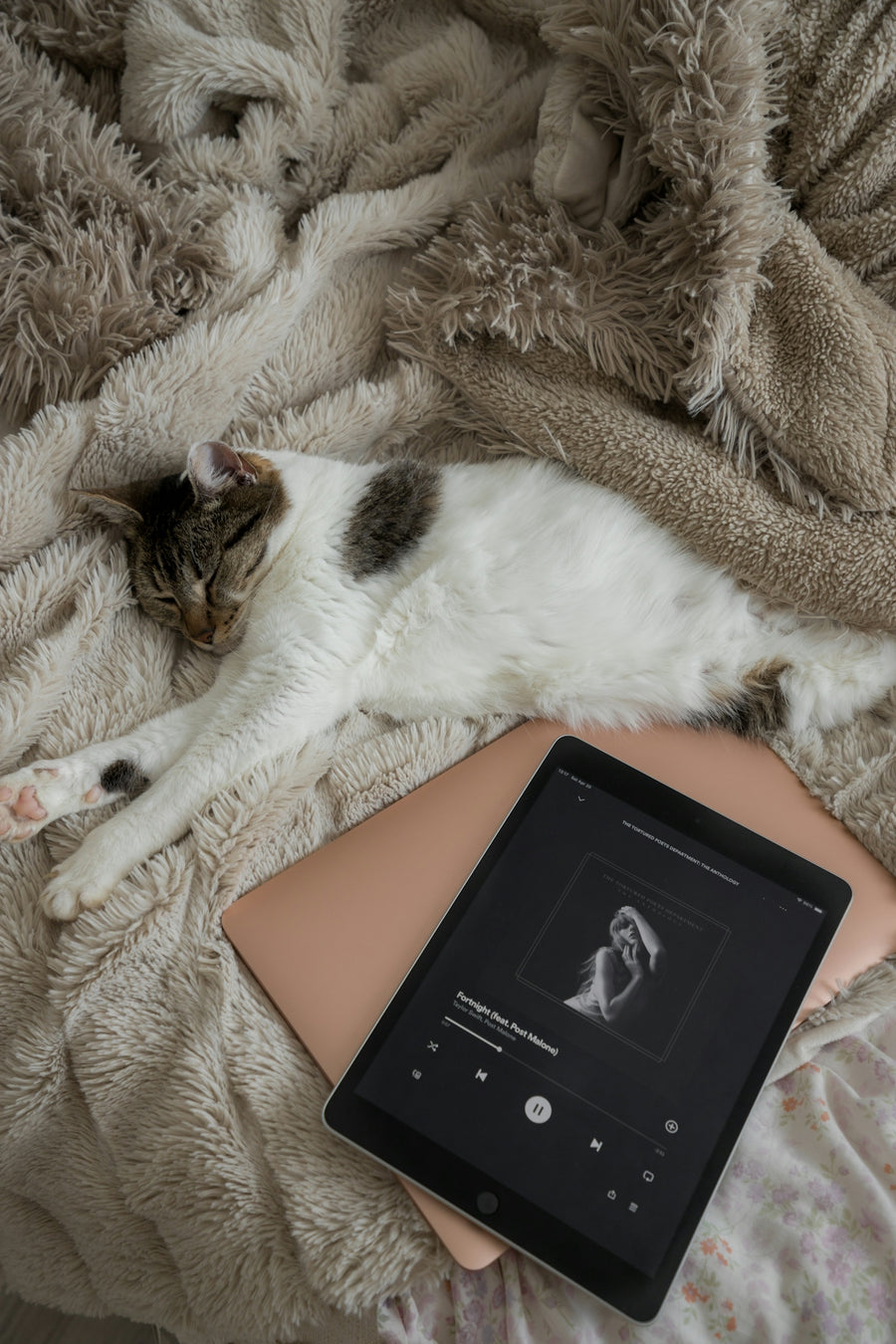Playlist Spotify ben posizionate: chiave per il tuo successo musicale su stream