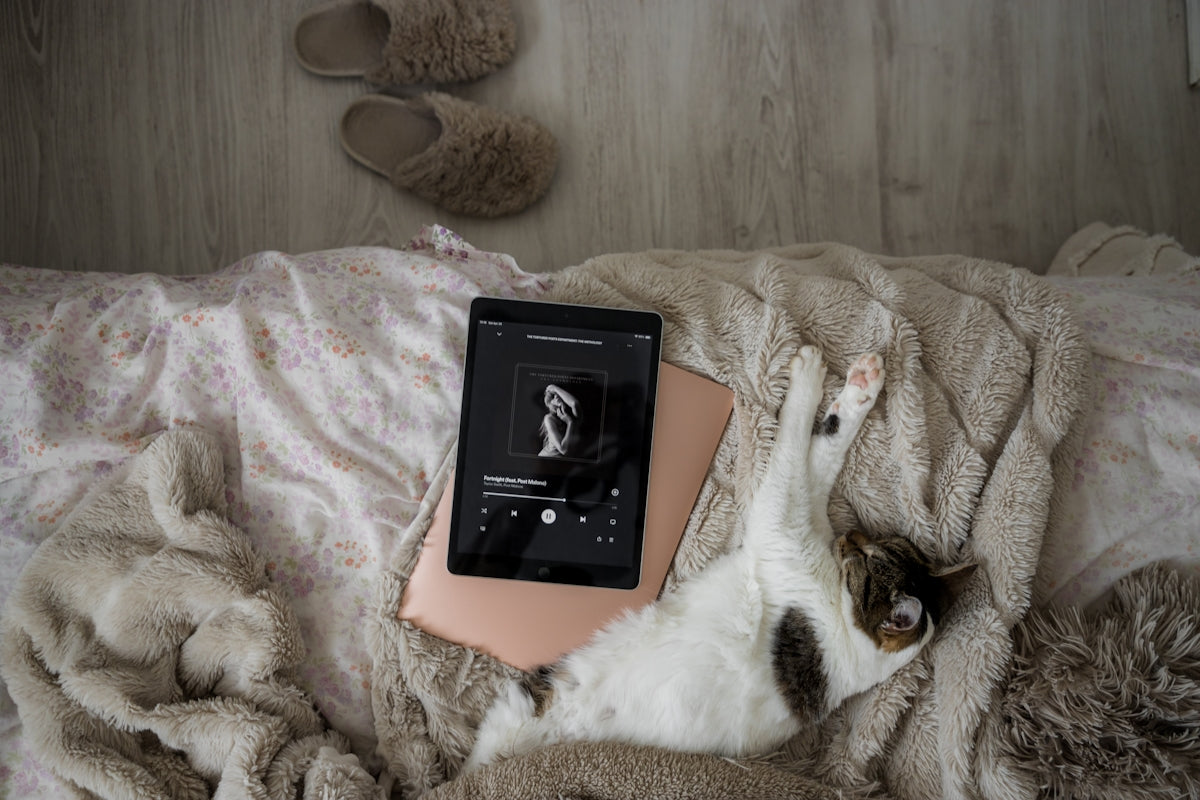 Come aumentare la visibilità su Spotify con strategie di playlist placement