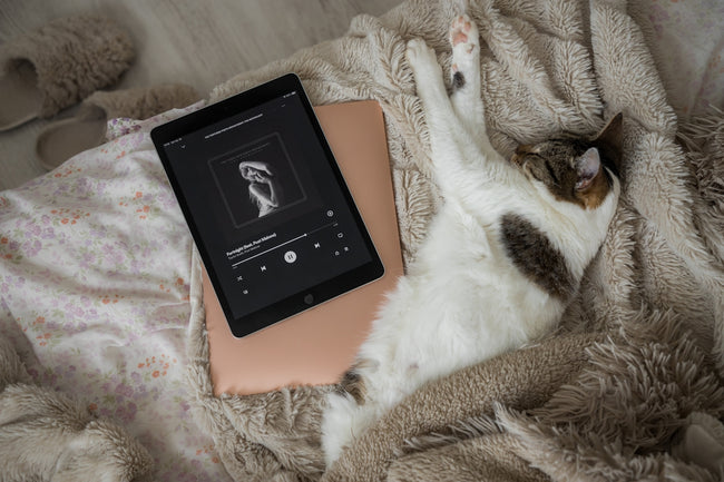 Visibilità artista: tecniche pratiche per aumentare ascolti mensili Spotify