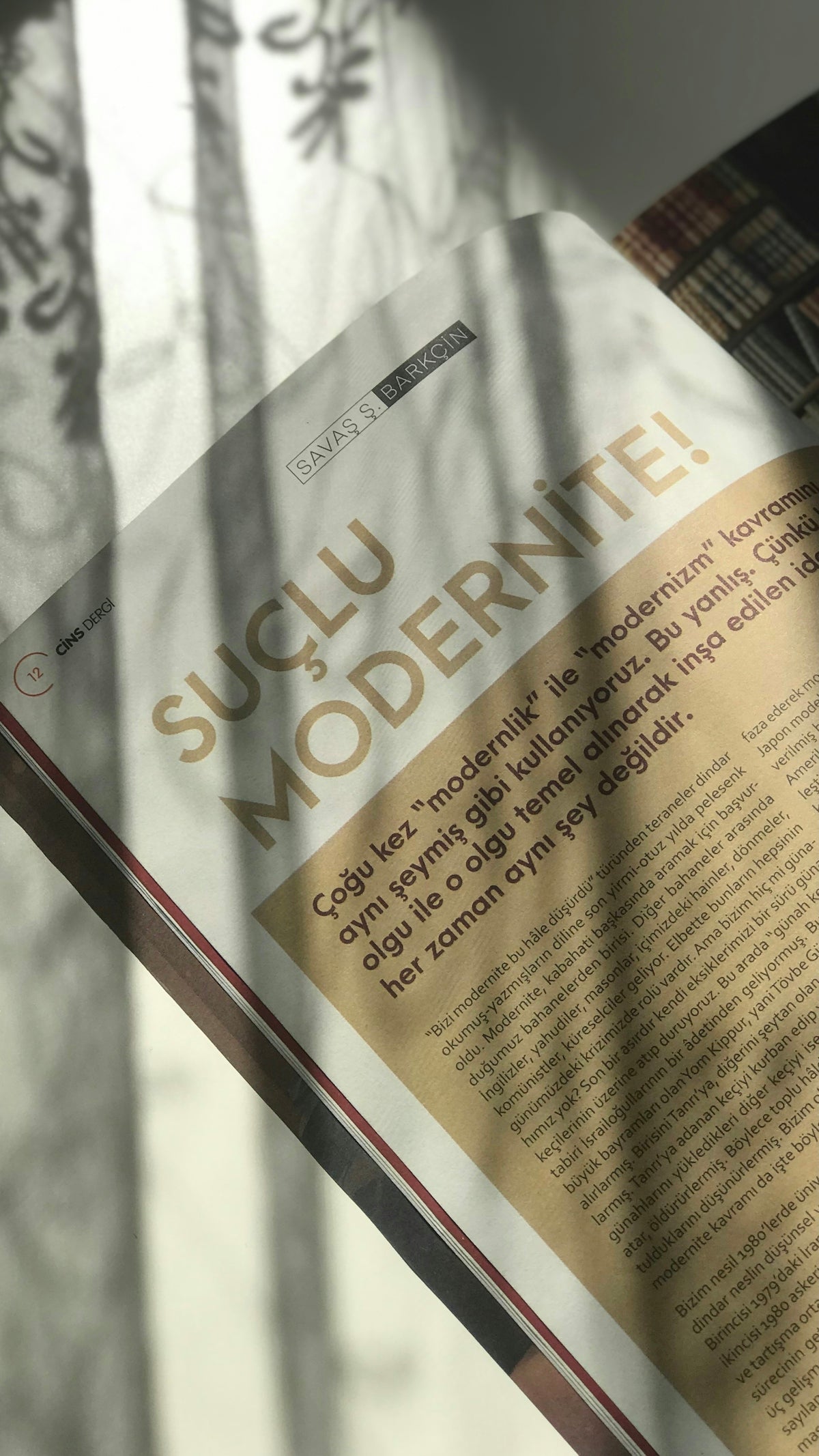 A close up of a magazine with a tree in the background