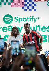 Come ottimizzare il follower Spotify con varie strategie social online