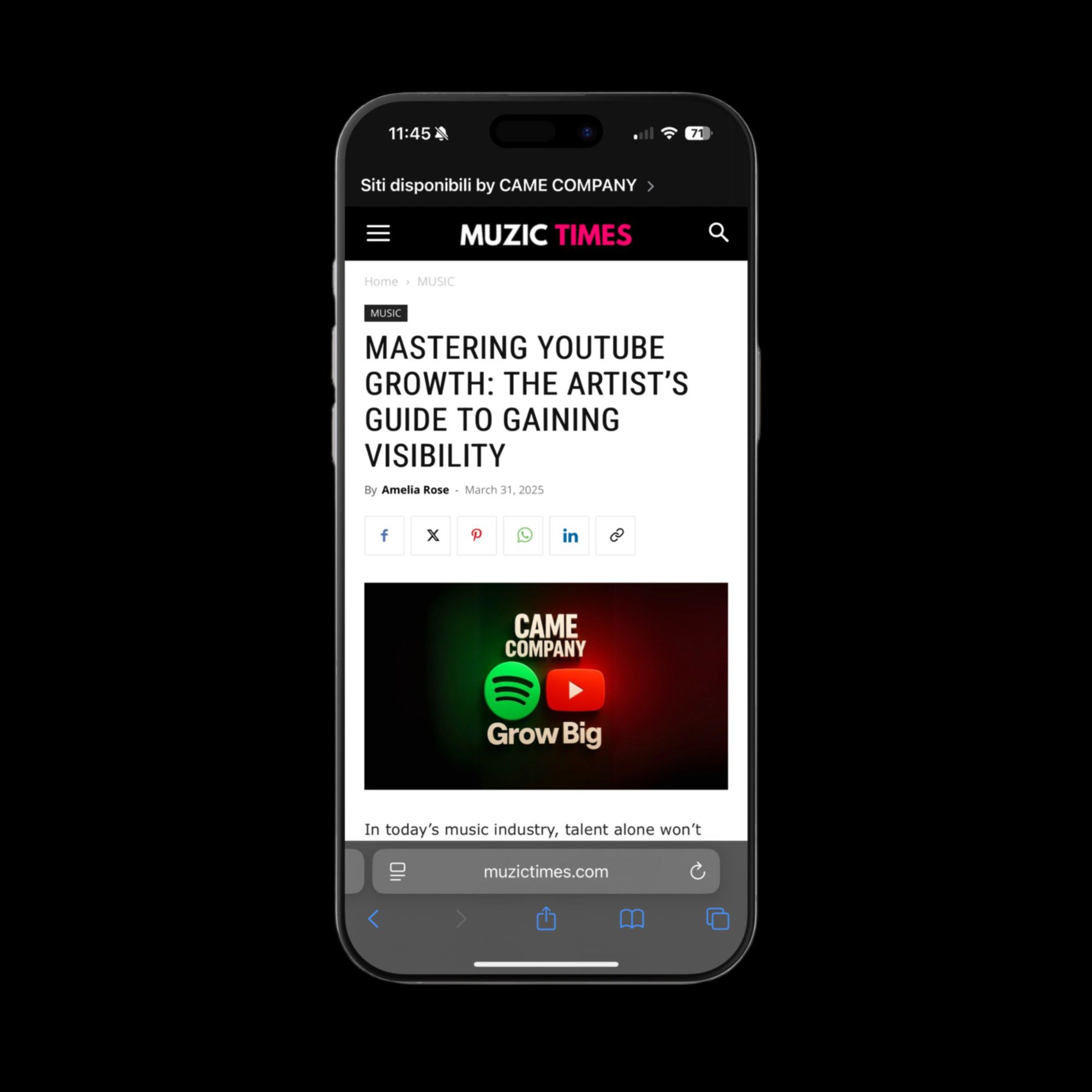 Articolo su Muzictimes.com - Camecompany