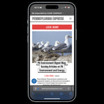 Articolo su californiaexpres.com