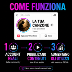 PR Service Musica/Audio Originale TikTok • 100% Organic Real
