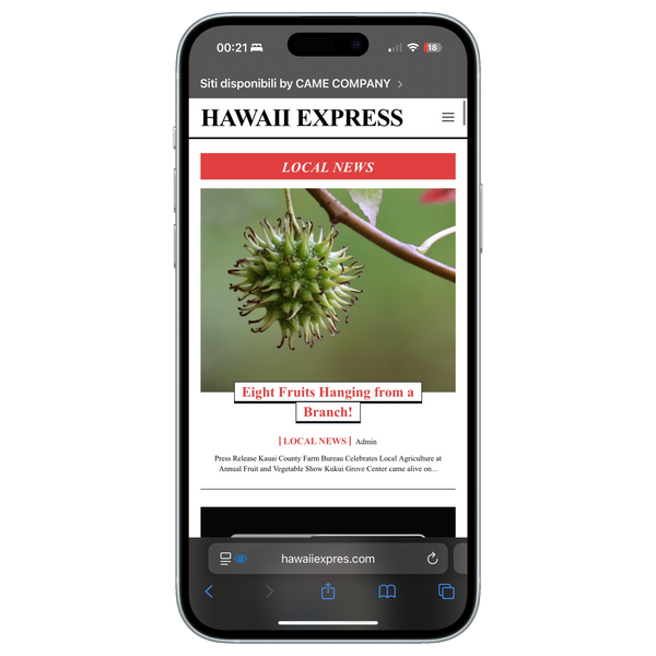Articolo su hawaiiexpres.com