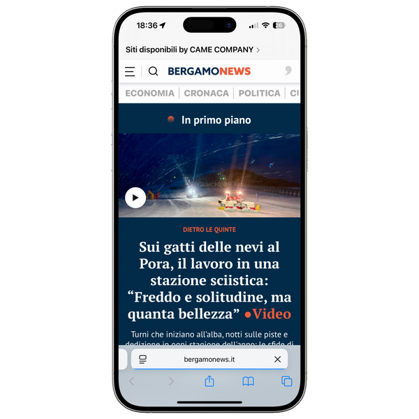 articolo su bergamonews.it