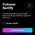 FOLLOWER  PROFILO - Follower Spotify: Quantità selezionabile da 500 a 20.000 follower per Spotify. Immediata, erogazione entro 24 ore