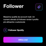 FOLLOWER  PROFILO - Follower: Massima qualità da account reali. Un numero elevato di follower rende il profilo più attraente e autorevole