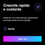FOLLOWER  PROFILO - Crescita rapida e costante: Ideale per chi vuole ottenere rapidamente una base solida di fan su Spotify