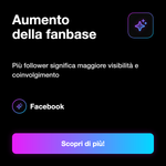FOLLOWER - Aumento della fanbase: Più follower significa maggiore visibilità e coinvolgimento