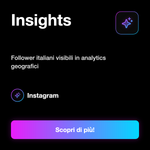 FOLLOWER ITALIANI MIRATI - Insights: Follower italiani visibili in analytics geografici