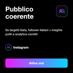 FOLLOWER ITALIANI MIRATI - Pubblico coerente: Se targetti Italia, follower italiani = insights puliti e analytics corretti
