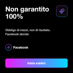 RECENSIONI PAGE INTERNAZIONALI • Economico - Non garantito 100%: Obbligo di mezzi, non di risultato. Facebook decide
