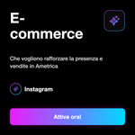 LIKE AMERICANI 🇺🇸 USA • Top quality - E-commerce: Che vogliono rafforzare la presenza e vendite in Ametrica