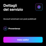 Like TikTok USA - Dettagli del servizio