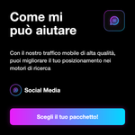 Traffico web da dispositivi mobili per siti adult