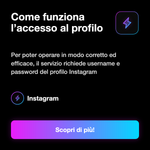 PACCHETTO 1 ANNO DI SERVIZI INSTAGRAM - Come funziona l’accesso al profilo: Per poter operare in modo corretto ed efficace, il servizio richiede username e password del profilo Instagram
