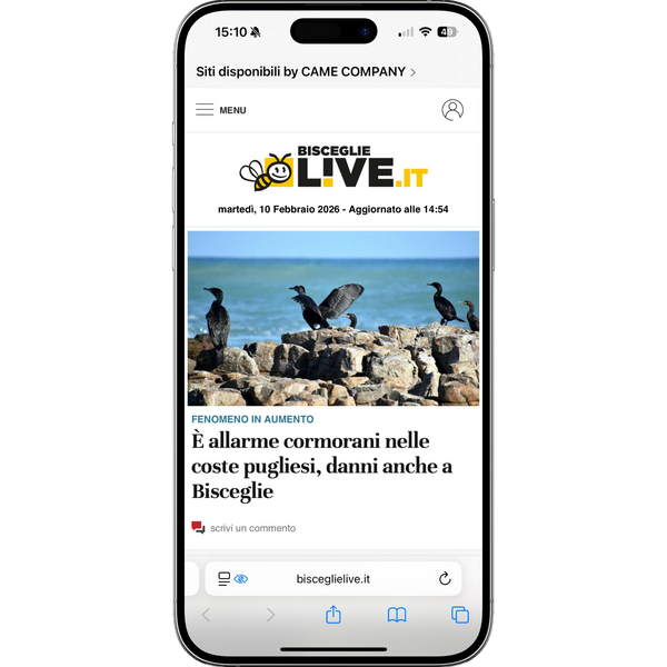 articolo su bisceglielive.it