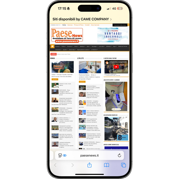 articolo su paesenews.it