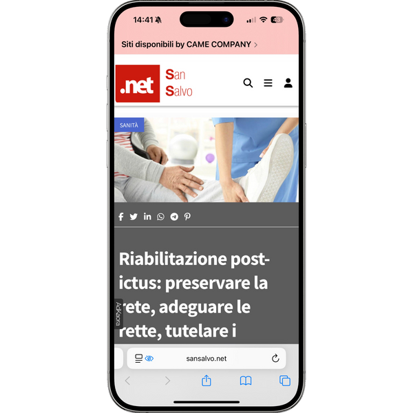 articolo su sansalvo.net