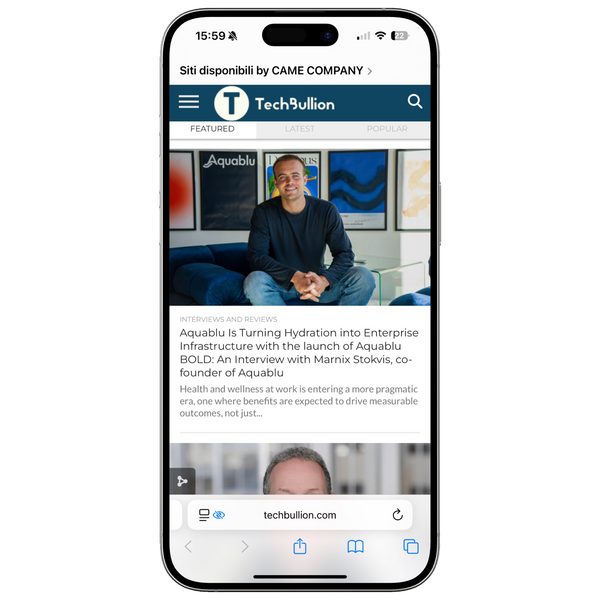 articolo su Techbullion.com