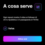 Repost TikTok - A cosa serve