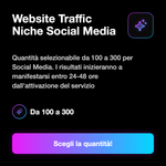 Traffico Web di Nicchia 🎯, selezione della quantità di visite per URL pubblico