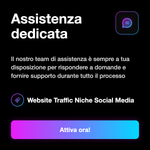 Traffico Web di Nicchia 🎯, indicazioni per l’utilizzo su siti e landing page compatibili