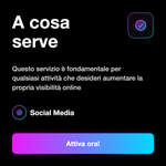 WEBSITE TRAFFIC NICHE - A cosa serve: Questo servizio è fondamentale per qualsiasi attività che desideri aumentare la propria visibilità online