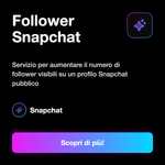 Follower Snapchat 👻 • Crescita Profilo - Follower Snapchat: Servizio per aumentare il numero di follower visibili su un profilo Snapchat pubblico