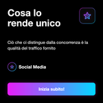 Servizio traffico web Francia - dettagli