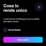 Servizio traffico web Russia - dettagli