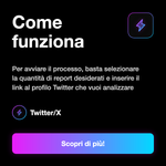 Report X / Twitter 🔎 • Inserimento link del profilo