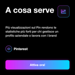 Visualizzazioni Pinterest - A cosa serve