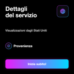 Visualizzazioni TikTok USA - Dettagli del servizio