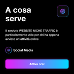 Traffico web mirato per nicchia o settore