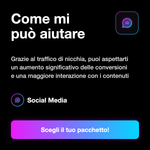 Visite per siti web con targeting di nicchia