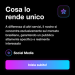 Servizio traffico web Brasile - dettagli