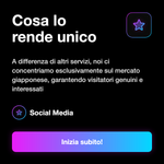 Servizio traffico web Giappone - dettagli