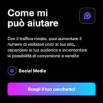 Traffico sito web con criteri di targeting