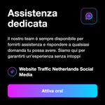 Traffico sito web Paesi Bassi - informazioni servizio