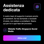 Traffico sito web Singapore - informazioni servizio