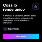 Servizio traffico web Spagna - dettagli