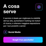 Traffico sito web con provenienza Vietnam
